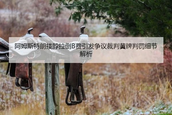 阿姆斯特朗搂脖拉倒B费引发争议裁判黄牌判罚细节解析